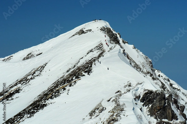 Fototapeta 白銀の世界・唐松岳山頂へ向かう登山者達