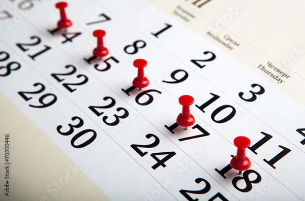 Obraz large wall calendar with needles