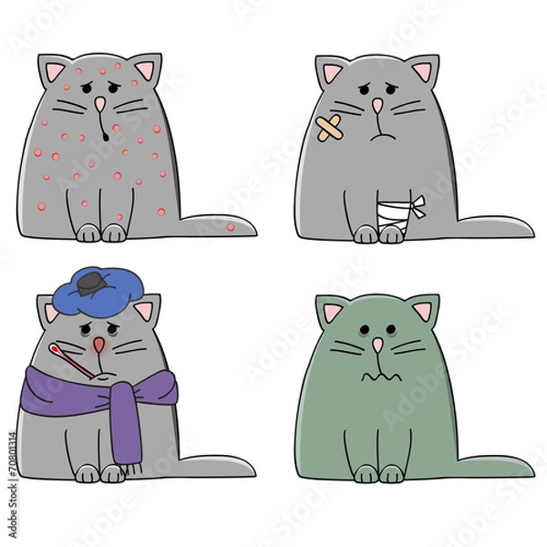 Fototapeta a set of four cats with different illnesses