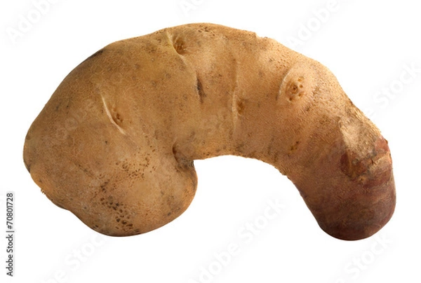 Obraz potatoes isolated as a member