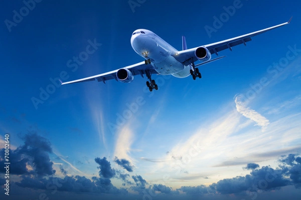 Obraz Evening flight