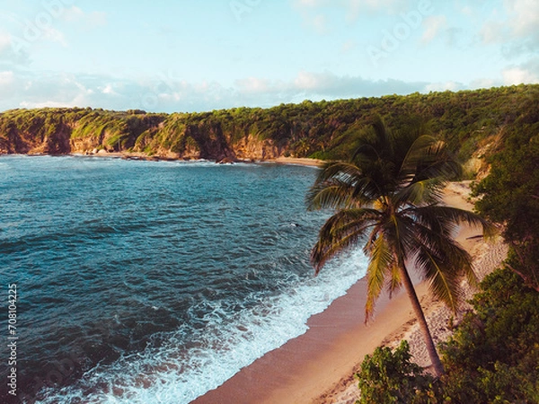 Fototapeta Puerto rico beach and a single tree palm in the morning from "playa teresa" in the east side