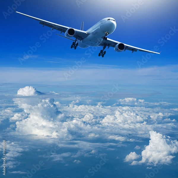 Obraz Ready for landing