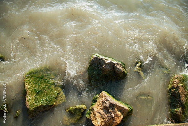 Fototapeta stones covered with a thin layer of green algae in muddy water