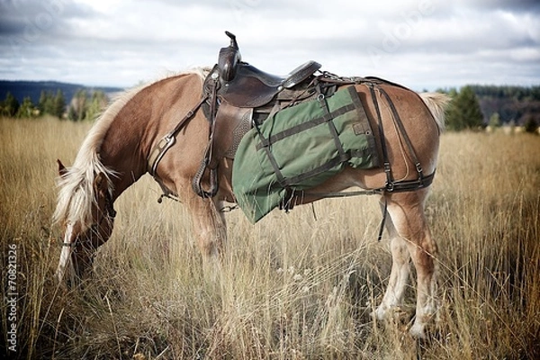 Obraz Haflinger packed