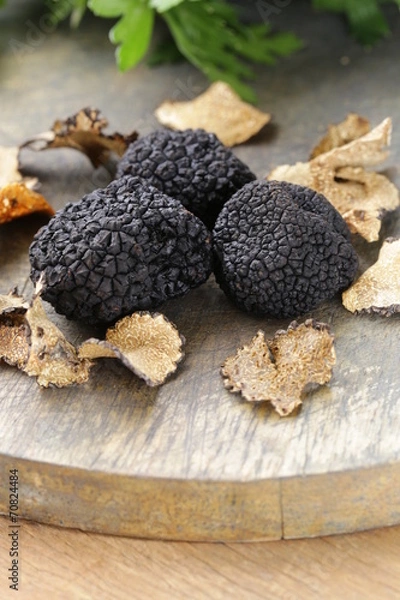 Obraz Drogie, rzadkie czarne truflowe grzyby - wyśmienite warzywo