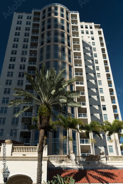Obraz Tall palm trees next to skyscrapers in St Petersburg downtown - 2
