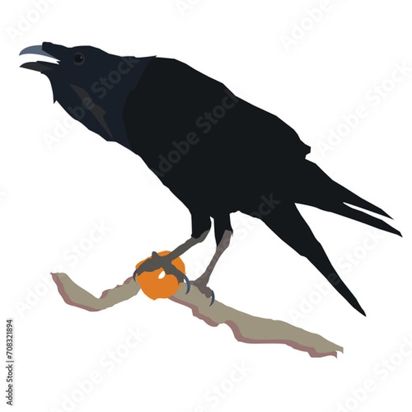 Obraz crow on a branch