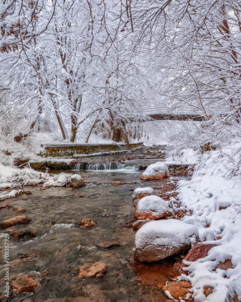 Obraz Beautiful tree scenery