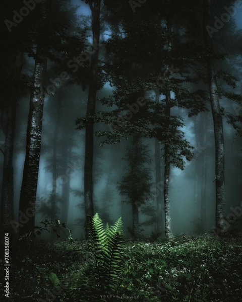 Obraz Beautiful tree scenery