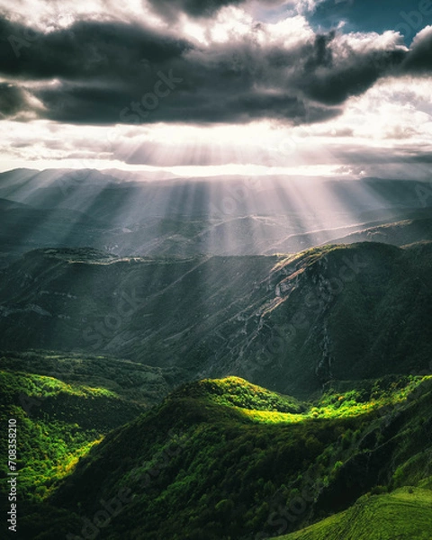 Obraz Beautiful tree scenery