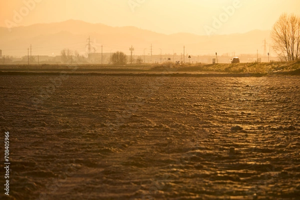 Obraz Risai del vercellese d'inverno