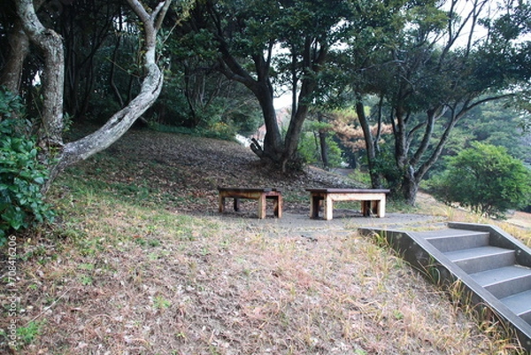 Obraz 公園のベンチ
