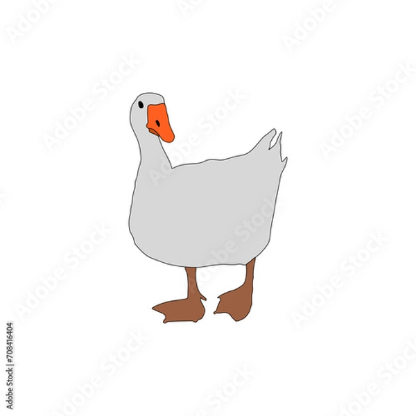 Obraz the duck is turning its head