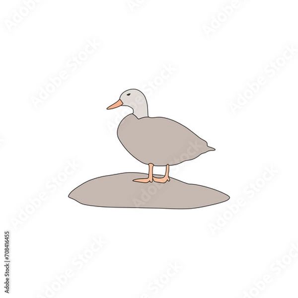 Obraz duck on a rock