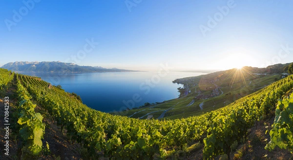 Obraz Lavaux Panorama