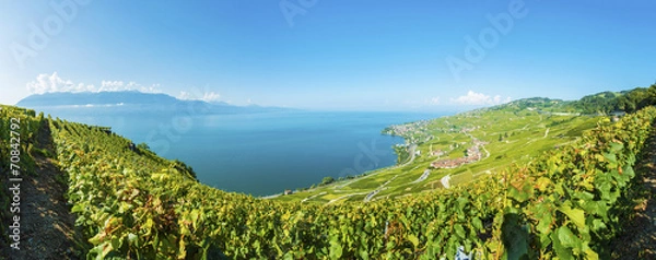 Obraz Lavaux Panorama