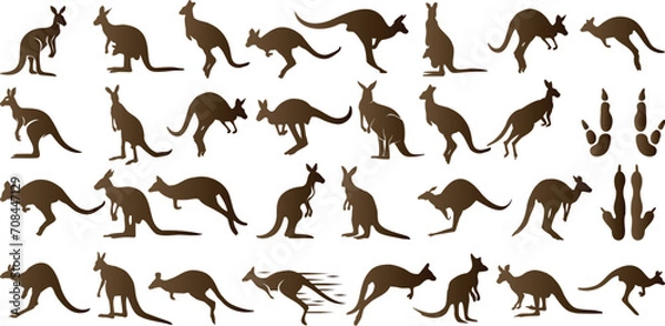 Fototapeta Kangaroo silhouettes, various poses of kangaroos , jumping, standing, isolated on white background. Perfect for wildlife, nature-themed designs, educational content, and more