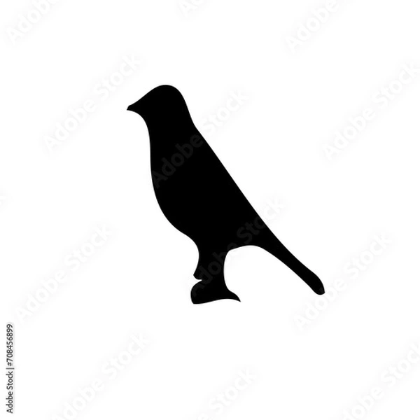 Obraz bird on a branch