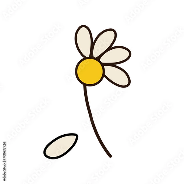 Obraz flower on a white background