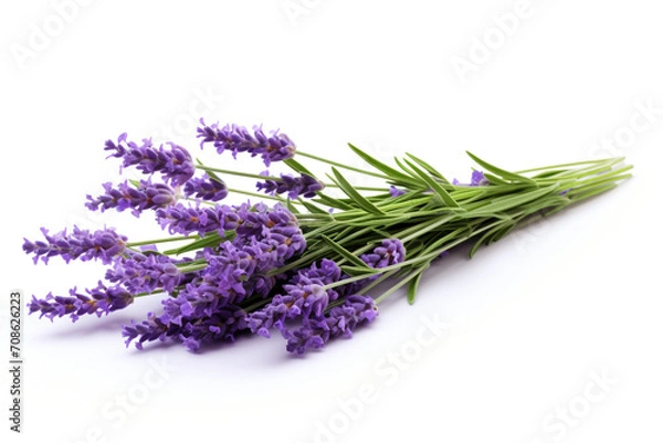 Obraz Lavender isolated on white background created with Generative Ai
