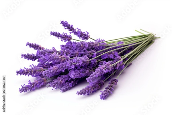 Obraz Lavender isolated on white background created with Generative Ai