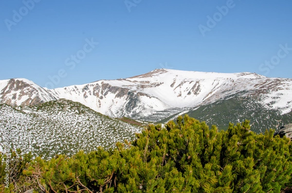Obraz landscape with sky