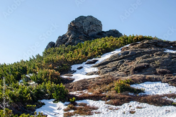 Obraz river in the mountains