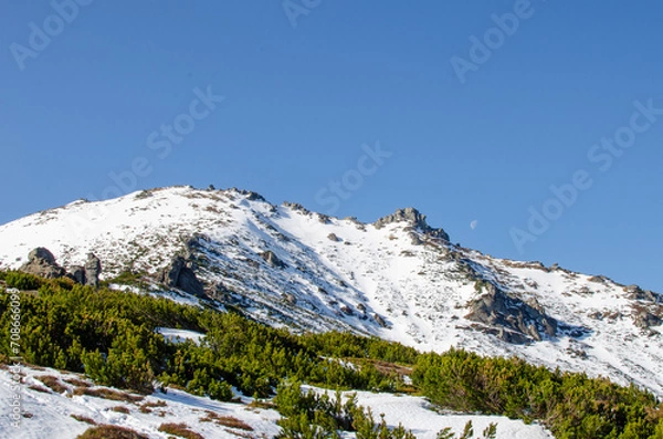 Obraz snow covered mountains