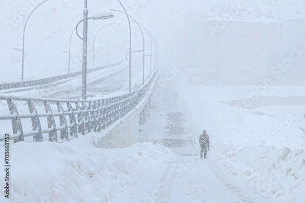 Fototapeta Snowy Bridge
