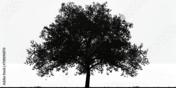 Fototapeta A black and white photo of a solitary tree. Suitable for various uses