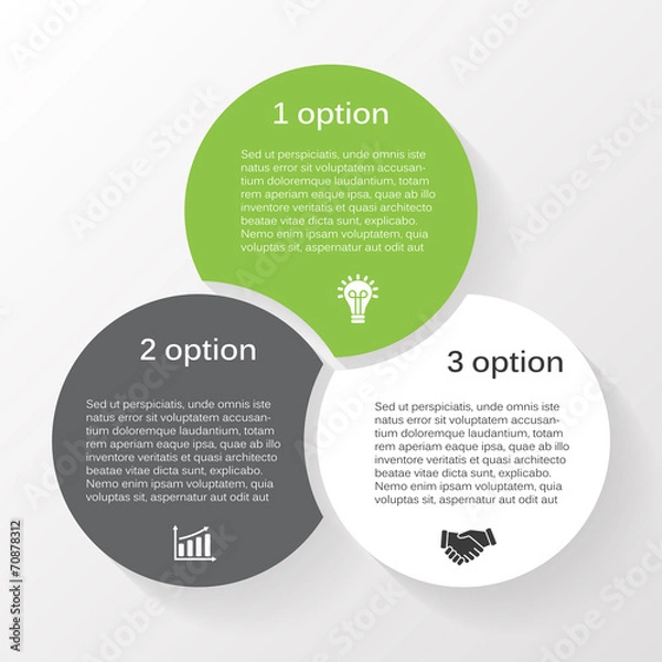 Fototapeta Vector circle infographic diagram 3 options