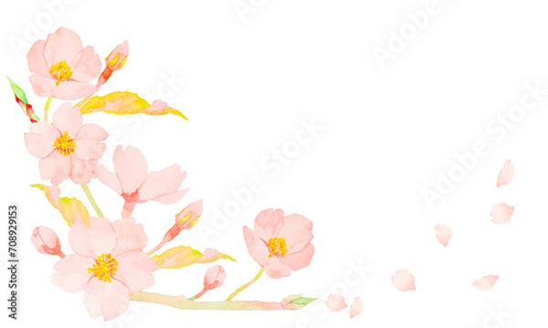 Obraz 水彩で描いたかわいい桜の花のイラスト