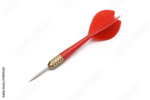 Obraz dart on the white background