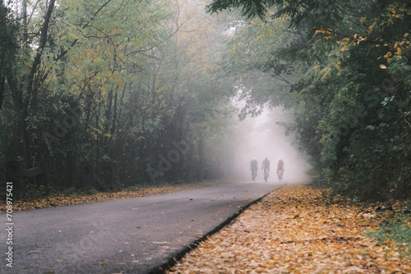 Obraz road in the forest