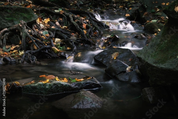 Obraz waterfall in autumn forest