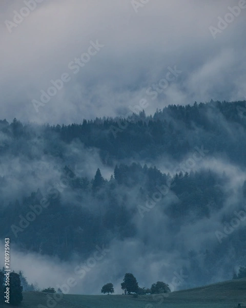 Obraz clouds over the forest