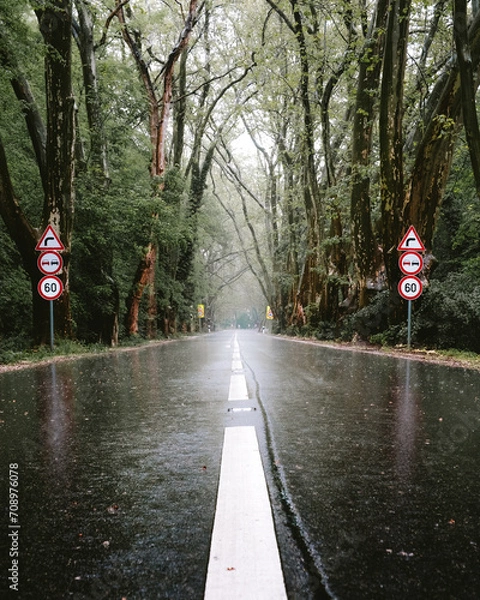 Obraz street during rain