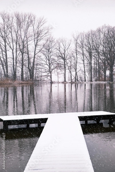 Obraz pond at winter