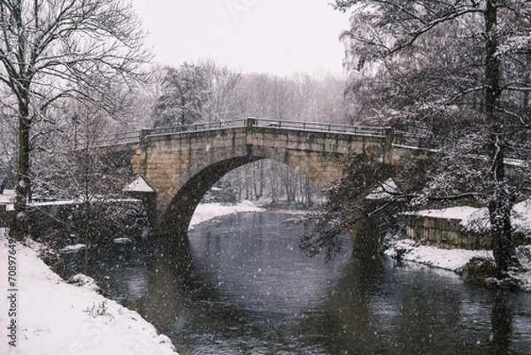 Obraz bridge in winter