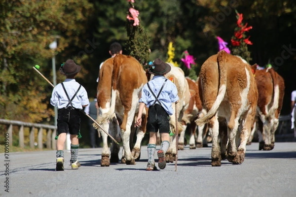Obraz Almabtrieb in Bayern