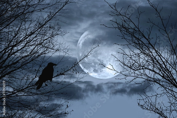 Obraz Halloween background with  spooky forest and full moon