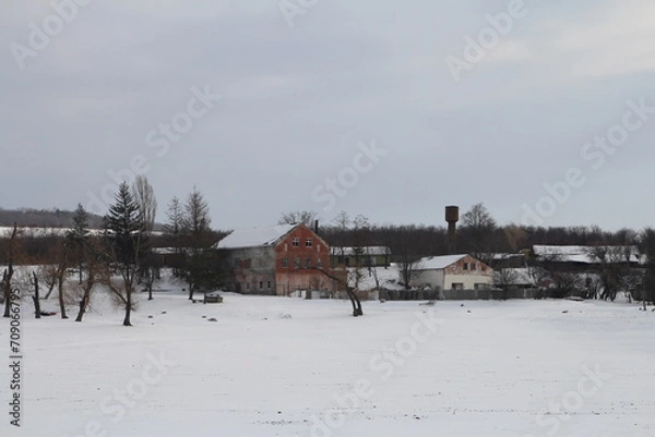 Obraz A snowy field with buildings and trees