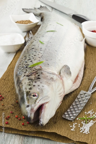 Obraz salmon carcass