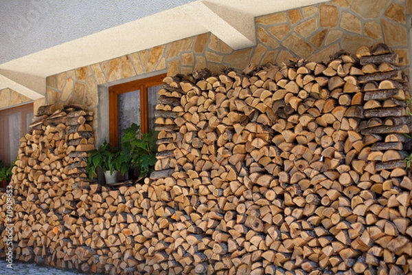 Obraz Firewoods storage