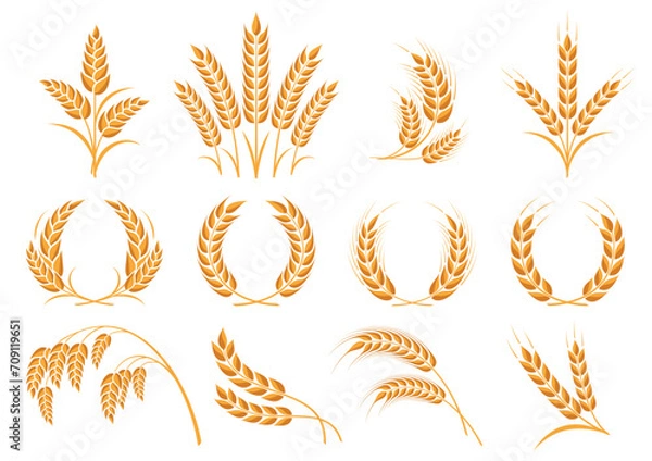 Fototapeta Wheat icons set. Grain, ear of wheat  and wreath. Organic wheat, bread agriculture and natural eat, rice isolated on white background. Isolated silhouette. Vector illustration