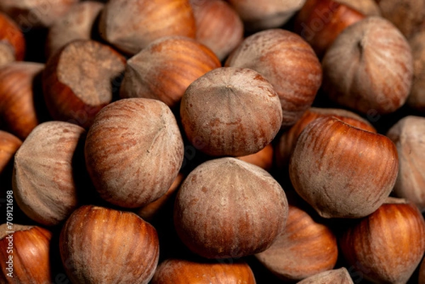 Obraz Orzechy laskowe