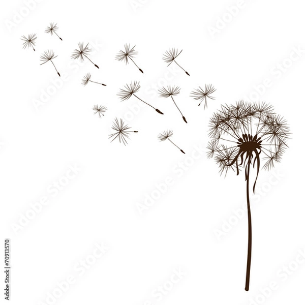 Obraz dandelions