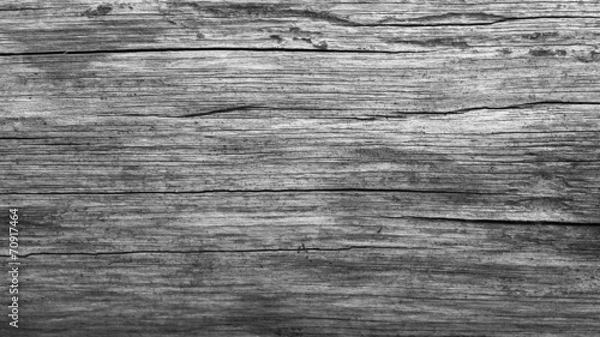 Obraz marcas en la madera