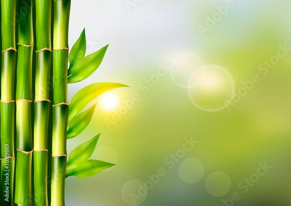 Fototapeta Spa background with bamboo.Vector